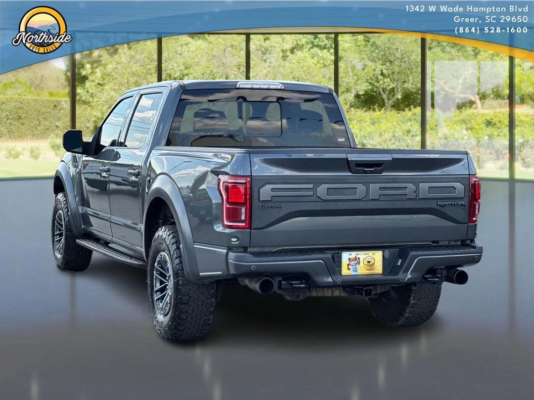 2019 Ford F-150 Raptor - Photo 7