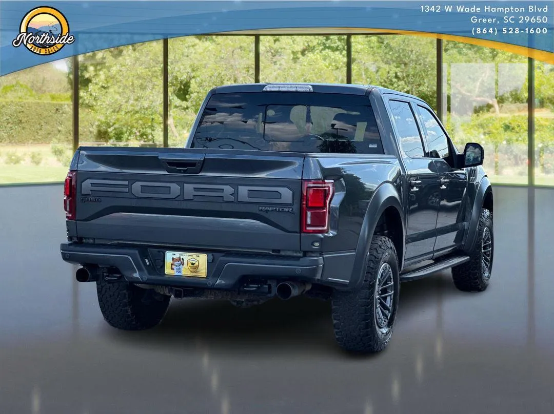 2019 Ford F-150 Raptor - Photo 5