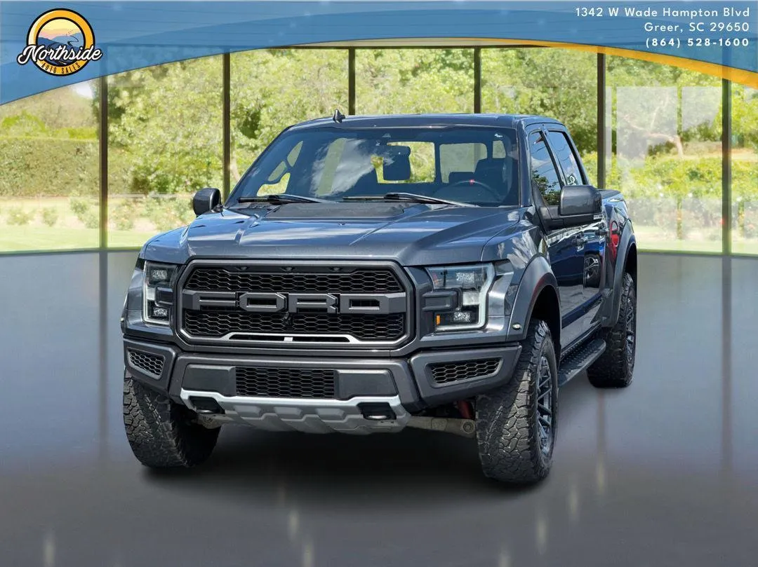 Gray 2019 Ford F-150 Raptor for sale in Greer, SC