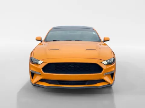 Photos of 2019 Ford Mustang for sale in Oak Ridge, TN at Oak Ridge Nissan