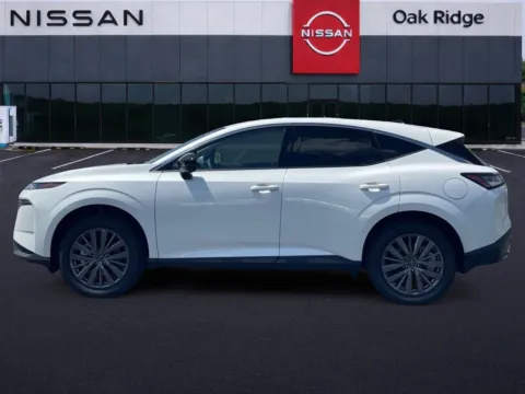 More photos of 2026 NISSAN MURANO SL at Oak Ridge Nissan, TN