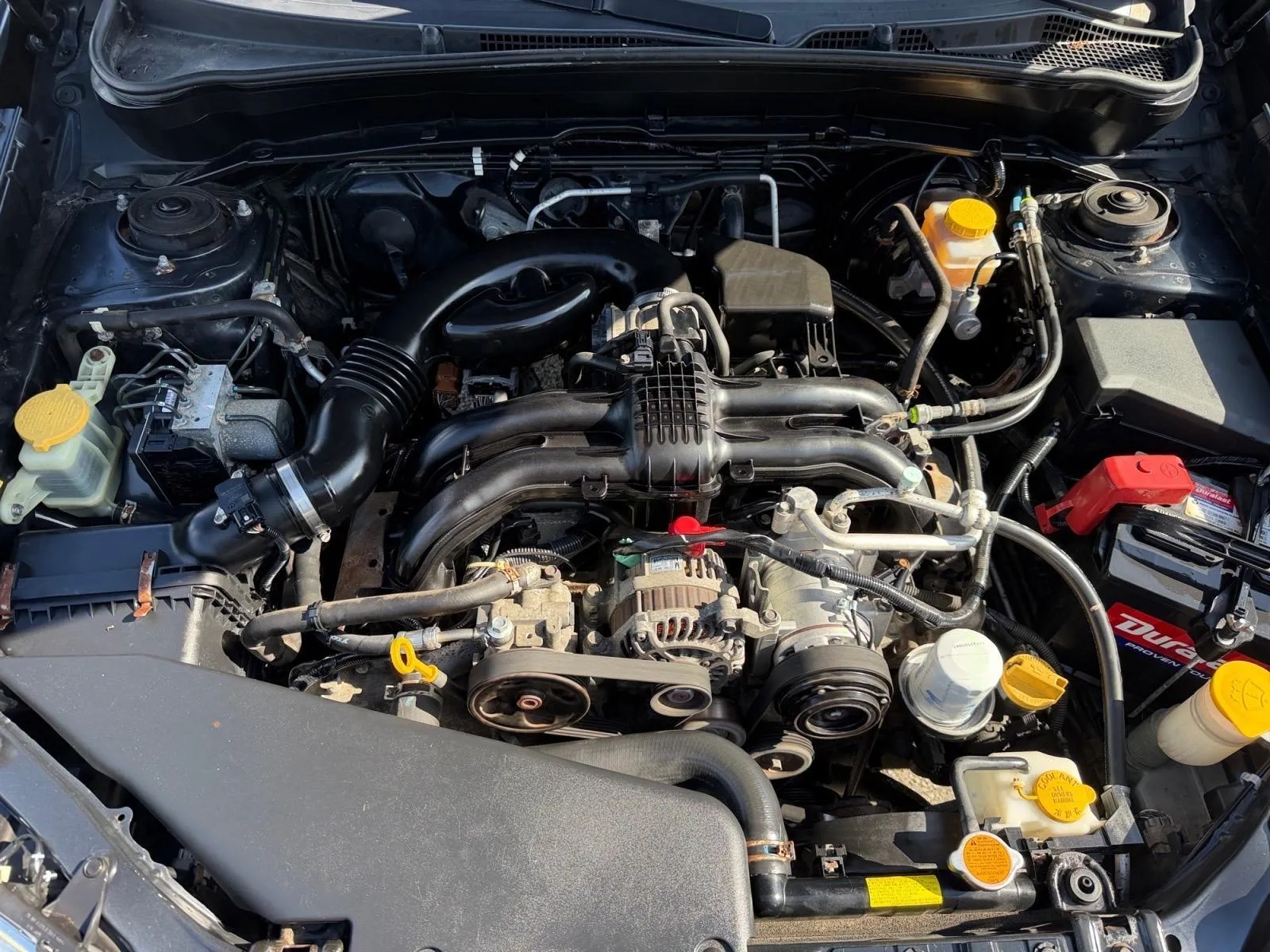 Subaru Forester photo 16
