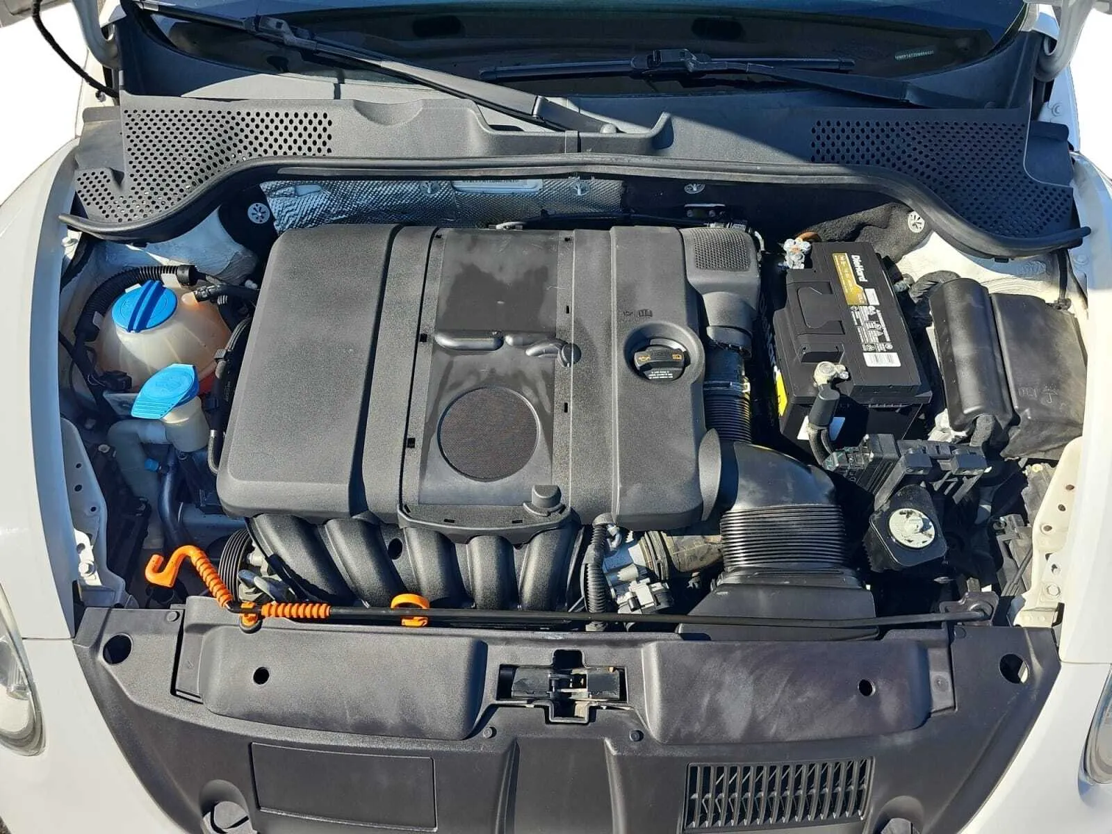 Volkswagen Beetle photo 16