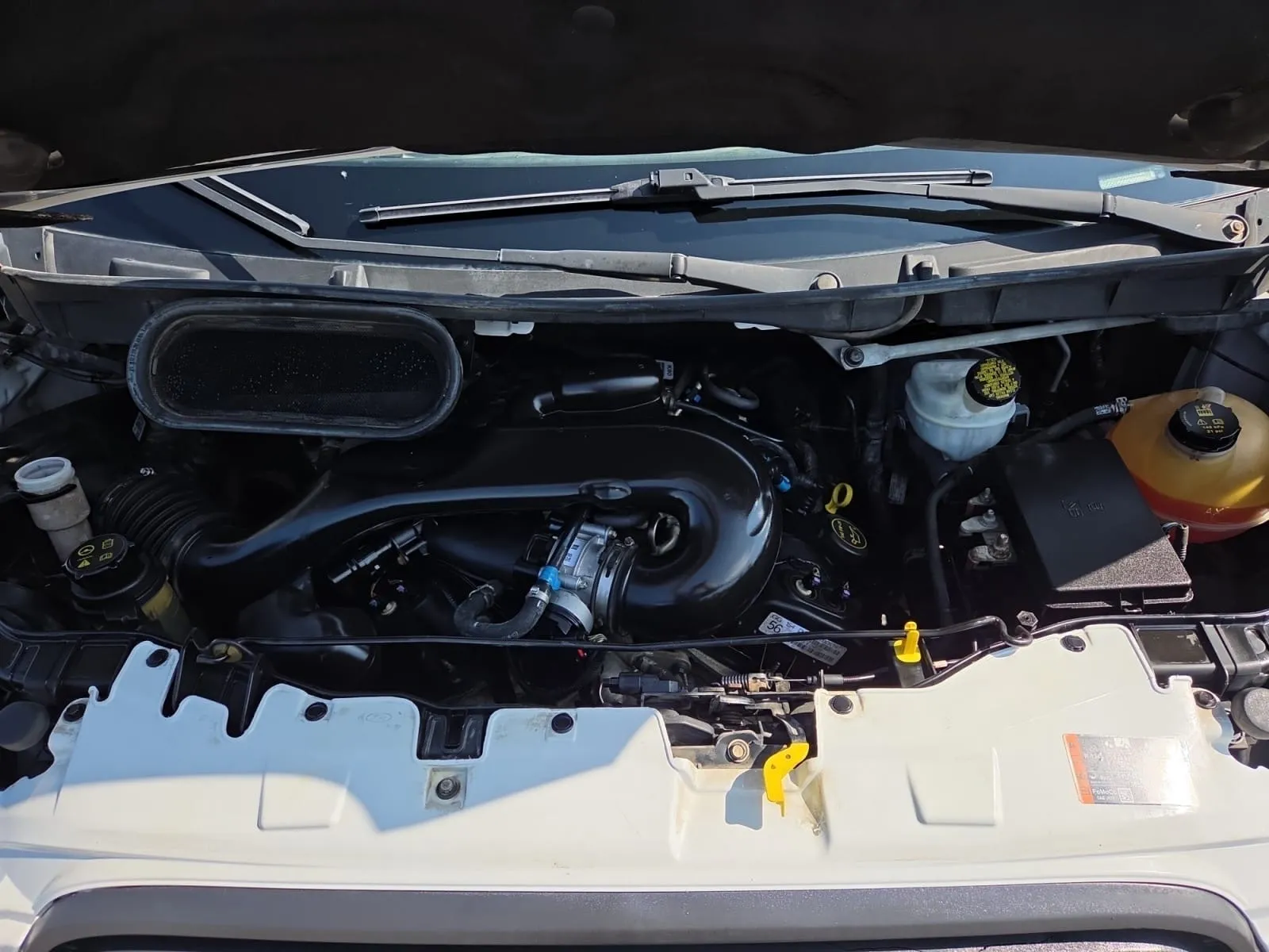 Ford Transit photo 16