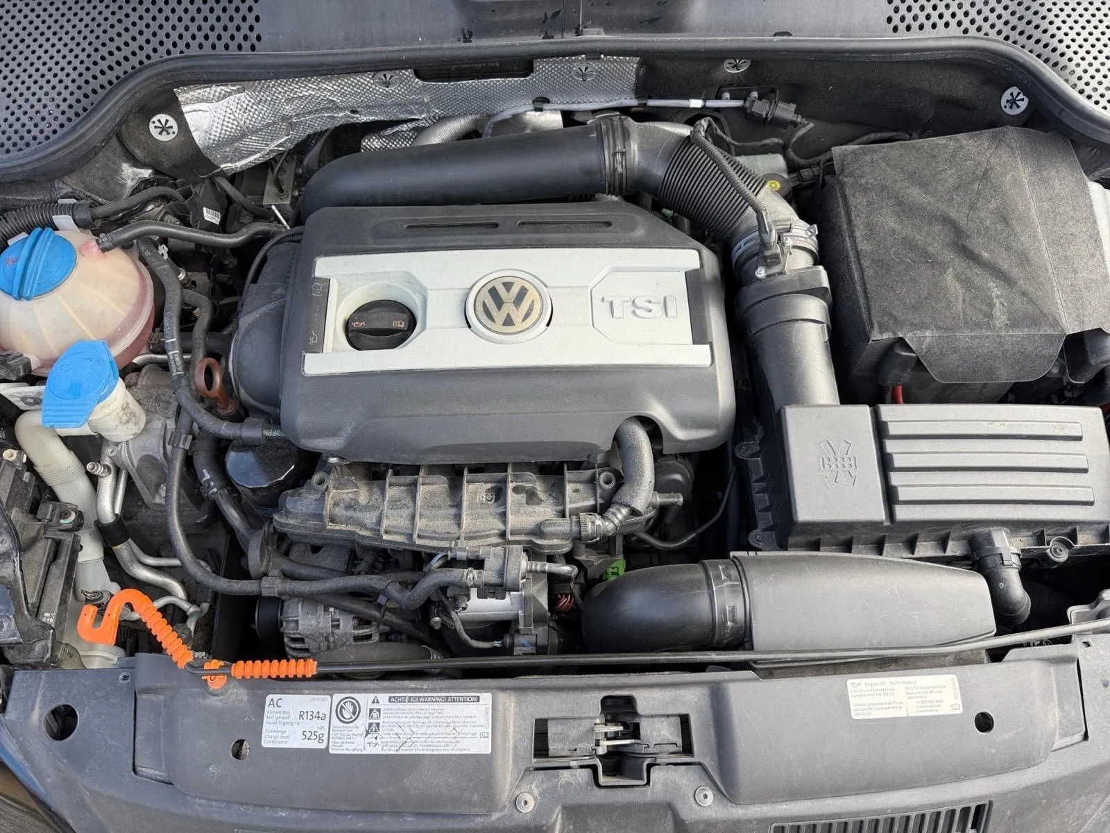 Volkswagen Beetle photo 16