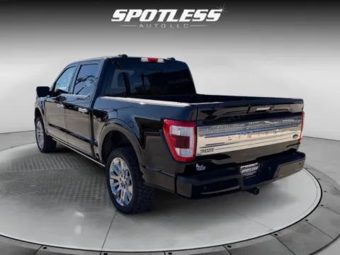 More photos of 2023 Ford F-150 Limited at Spotless Auto Loop 1604, TX