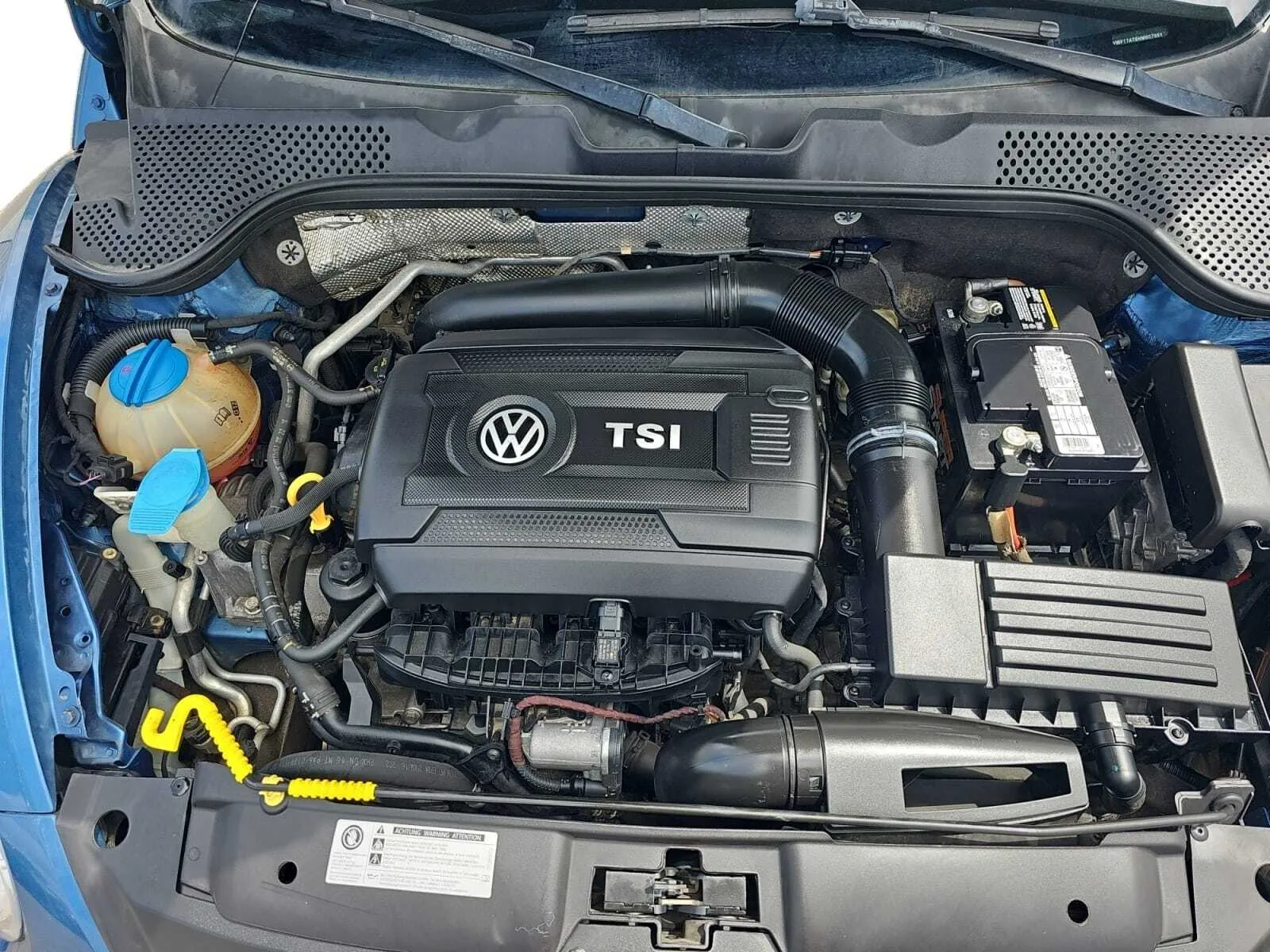 Volkswagen Beetle photo 16
