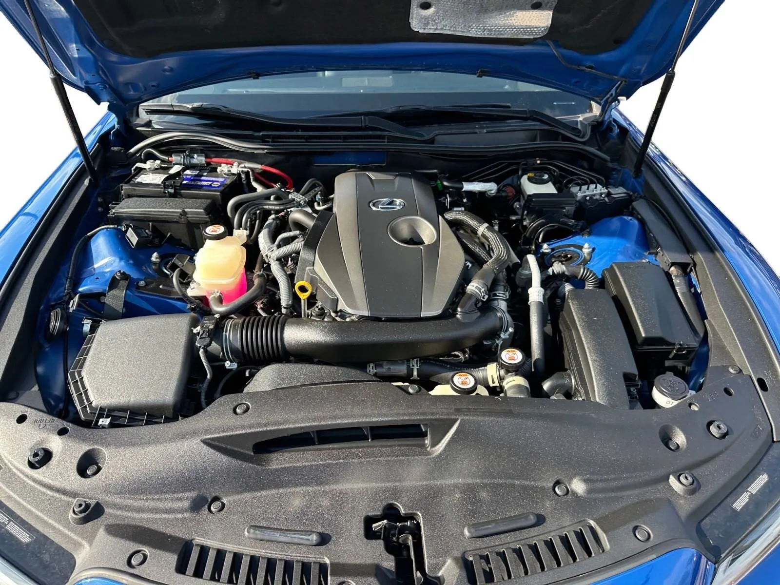 Lexus IS photo 16