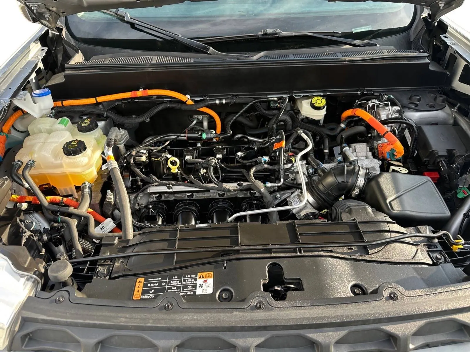 Ford Maverick photo 16