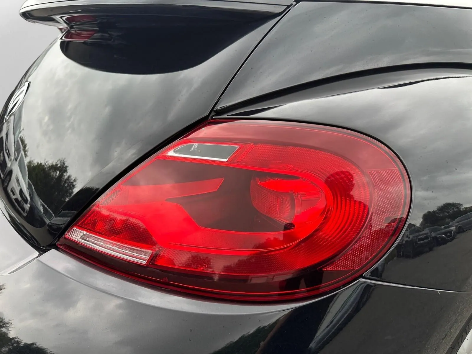 Volkswagen Beetle photo 19