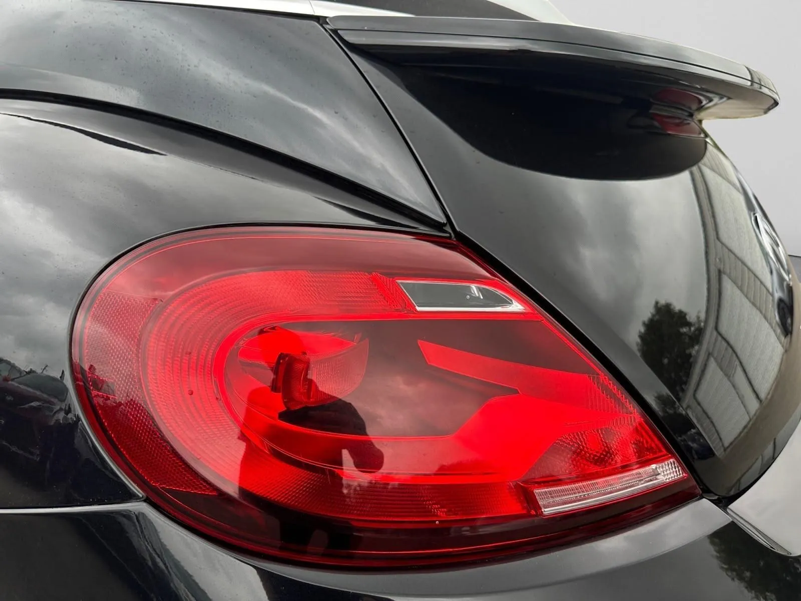 Volkswagen Beetle photo 20