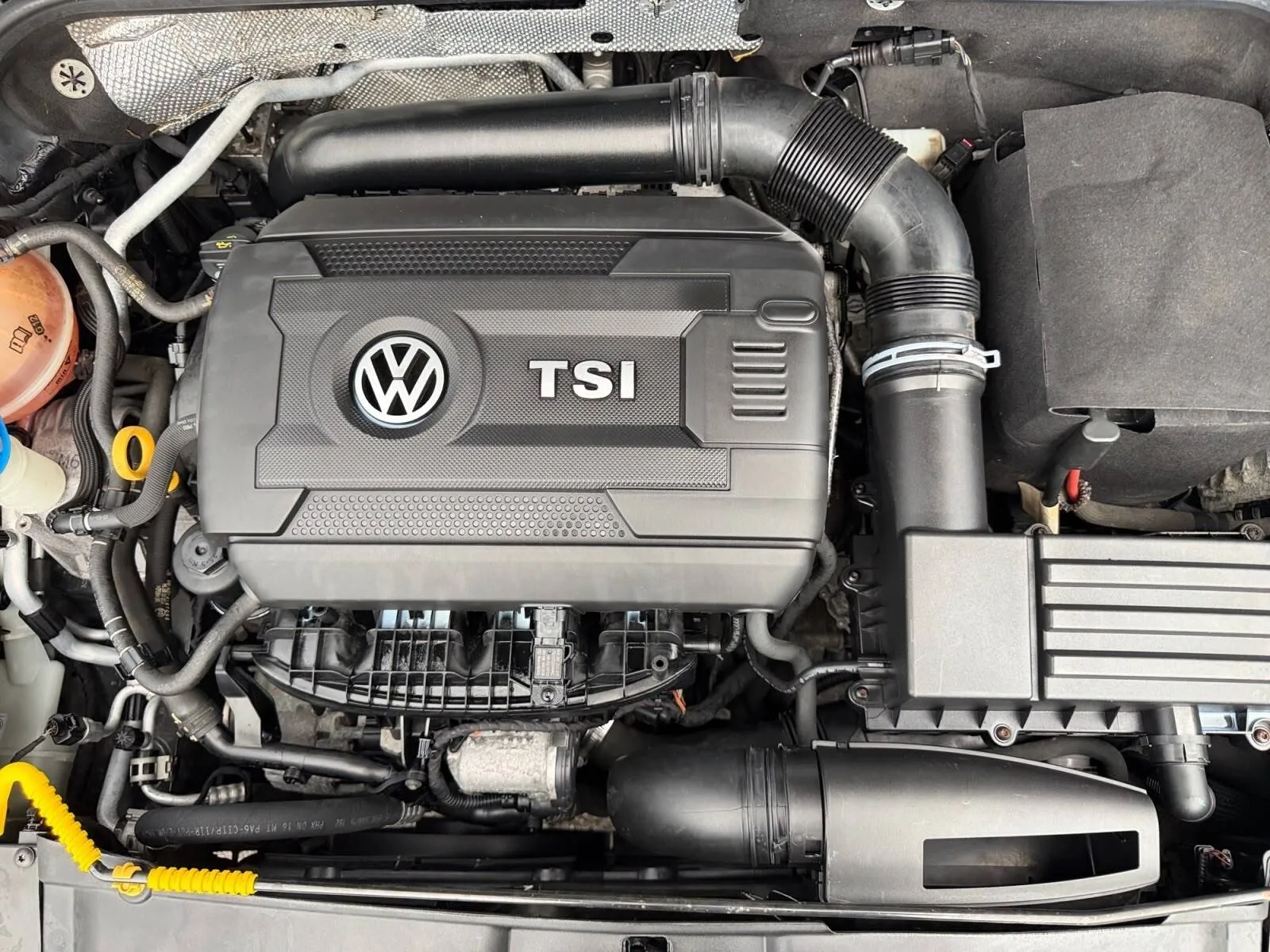 Volkswagen Beetle photo 12