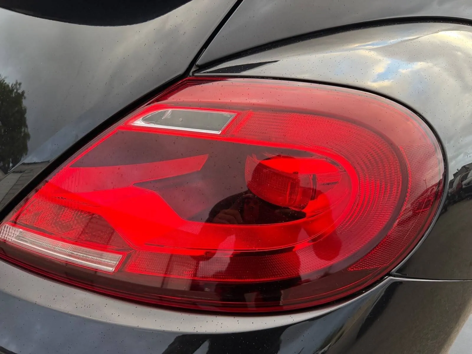 Volkswagen Beetle photo 15