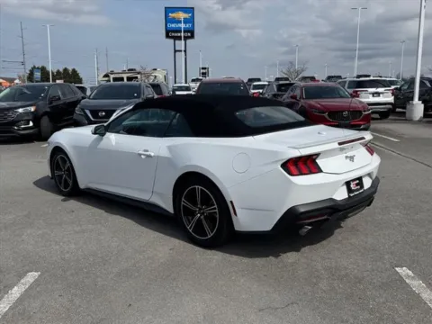 More photos of 2024 Ford Mustang EcoBoost Premium at Johnson City Nissan, TN