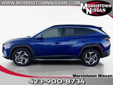 Blue 2024 Hyundai Tucson Limited for sale in Morristown, TN