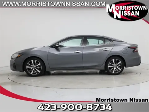Gray 2019 Nissan Maxima 3.5 S for sale in Morristown, TN