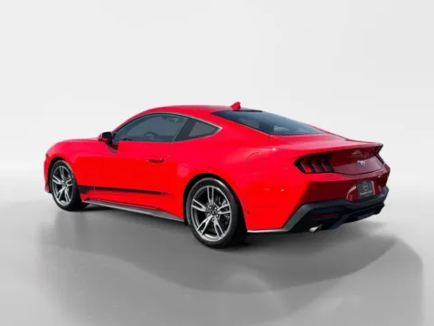 Photos of 2025 Ford Mustang EcoBoost for sale in Morristown, TN at Morristown Nissan