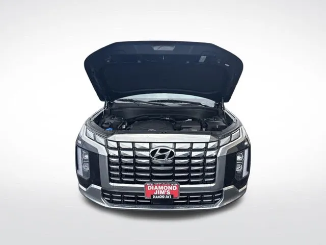 Hyundai Palisade photo 24