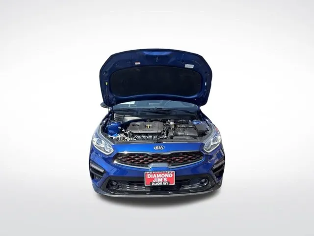 Kia Forte photo 24