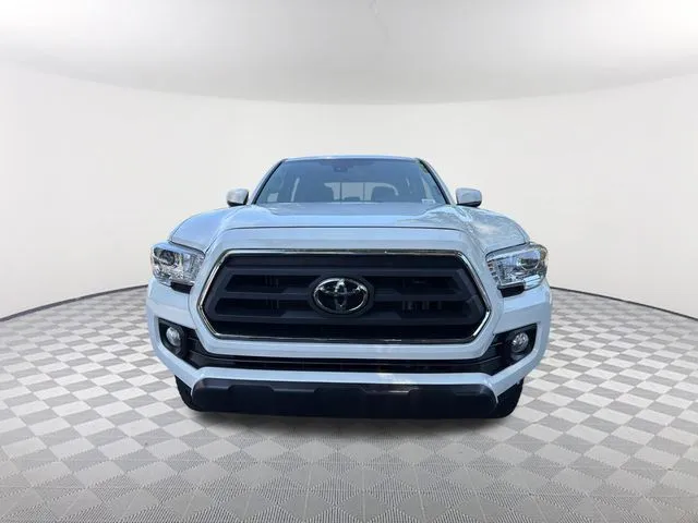 3TYCZ5AN8PT176977