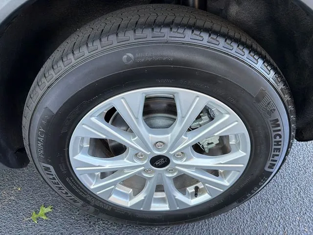 Photo 19