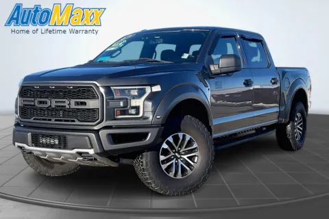 Gray 2019 Ford F-150 Raptor for sale in Aberdeen, SD