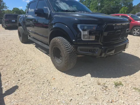 More photos of 2017 Ford F-150 Raptor at Step One Chrysler Dodge Jeep Ram Fiat Crestview, FL