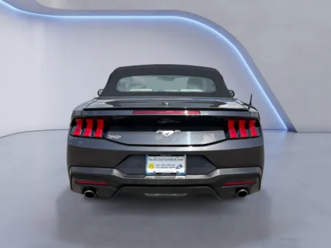 More photos of 2024 Ford Mustang EcoBoost Premium at Twin City Certified, TN
