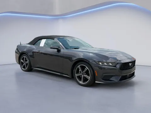 Gray 2024 Ford Mustang EcoBoost Premium for sale in Maryville, TN