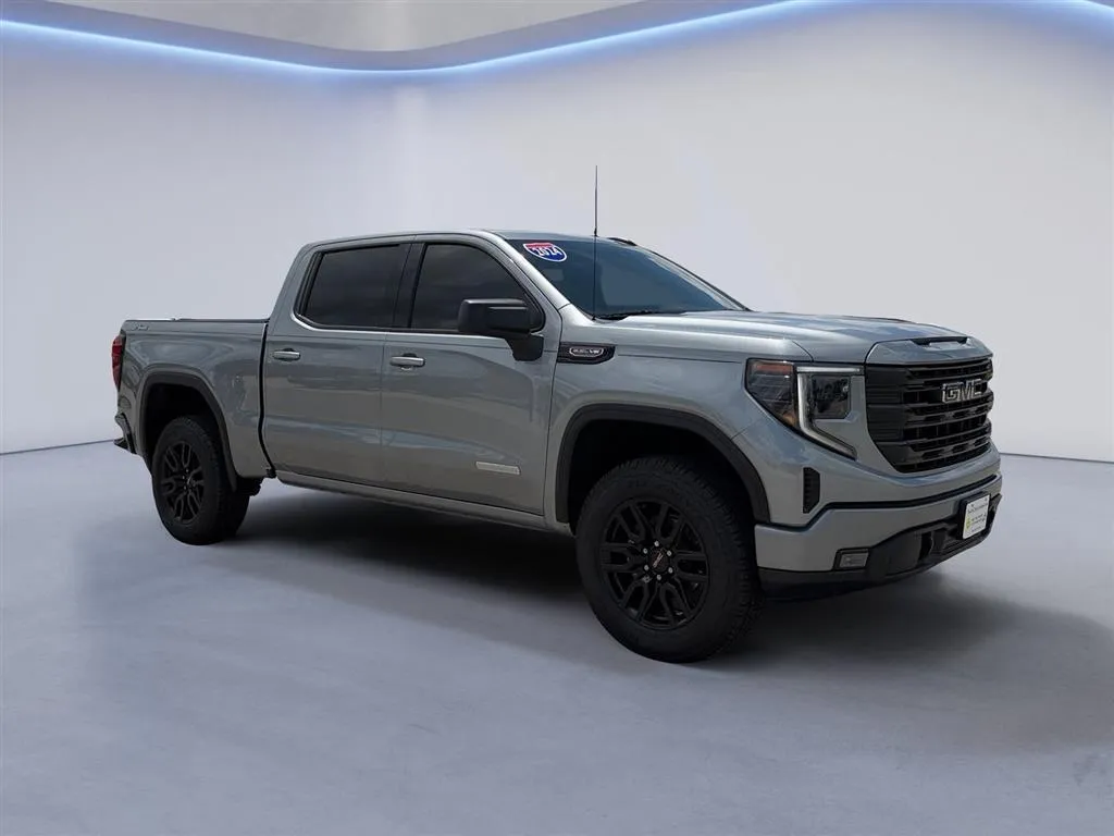Gray 2024 GMC Sierra 1500 Elevation for sale in Maryville, TN