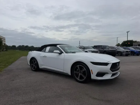 White 2025 Ford Mustang EcoBoost Premium for sale in Maryville, TN