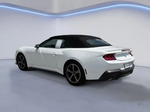 More photos of 2025 Ford Mustang EcoBoost Premium at Twin City Certified, TN