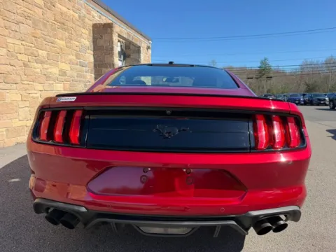 More photos of 2019 Ford Mustang EcoBoost Coupe 2D at Gesner Auto, MA