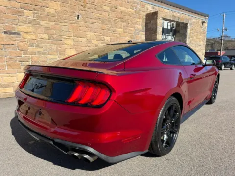 More photos of 2019 Ford Mustang EcoBoost Coupe 2D at Gesner Auto, MA