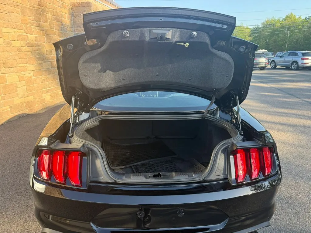 2021 Ford Mustang GT - Photo 9