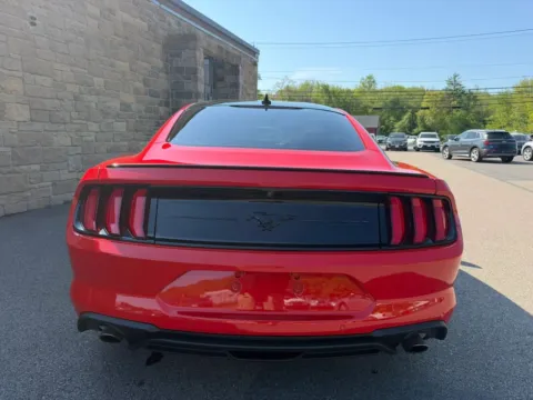 More photos of 2021 Ford Mustang EcoBoost Coupe 2D at Gesner Auto, MA