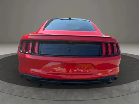 More photos of 2021 Ford Mustang EcoBoost Coupe 2D at Gesner Auto, MA