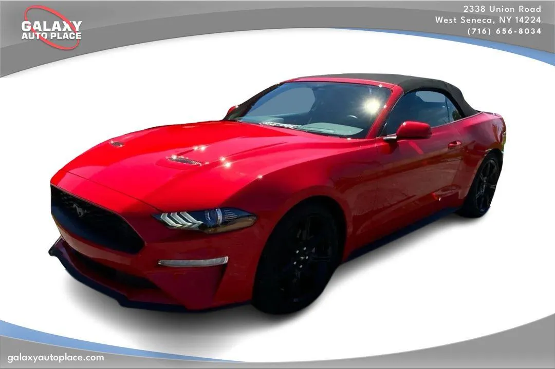 Red 2019 Ford Mustang EcoBoost for sale in West Seneca, NY
