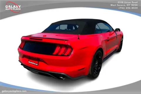 More photos of 2019 Ford Mustang EcoBoost at Galaxy Auto Place, NY