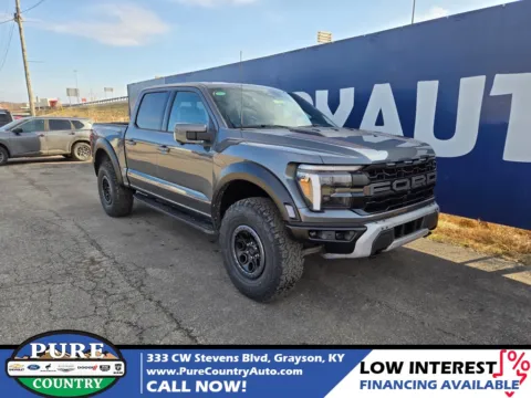 Gray 2025 Ford F-150 Raptor for sale in Grayson, KY