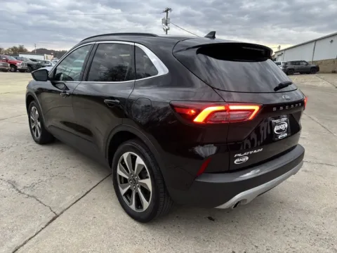 More photos of 2024 Ford Escape Platinum at Pure Country Automotive, KY