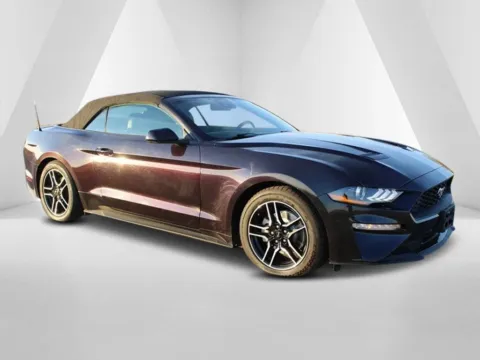 Purple 2023 Ford Mustang EcoBoost Premium for sale in Grayson, KY