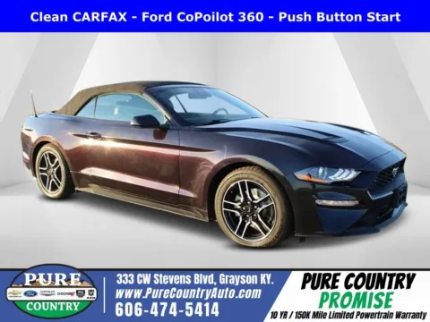 Purple 2023 Ford Mustang EcoBoost Premium for sale in Grayson, KY