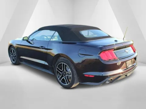 More photos of 2023 Ford Mustang EcoBoost Premium at Pure Country Automotive, KY