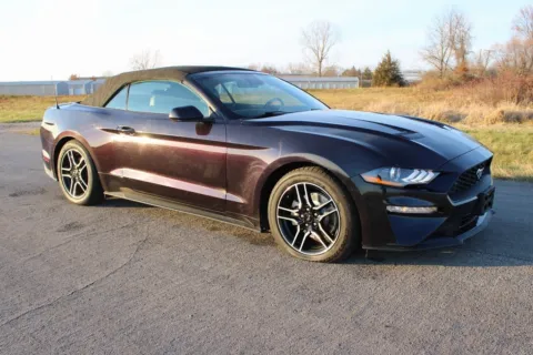 Purple 2023 Ford Mustang EcoBoost Premium for sale in Grayson, KY