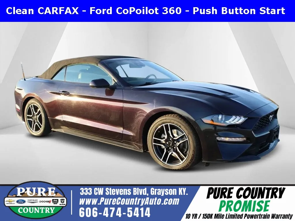 Purple 2023 Ford Mustang EcoBoost Premium for sale in Grayson, KY