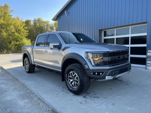 Silver 2022 Ford F-150 Raptor for sale in Grayson, KY