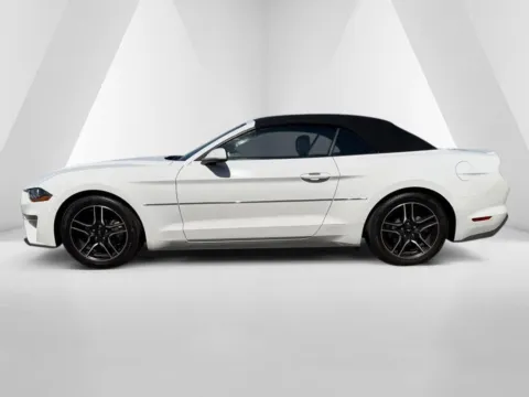 More photos of 2022 Ford Mustang EcoBoost Premium at Pure Country Automotive, KY
