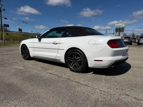 More photos of 2022 Ford Mustang EcoBoost Premium at Pure Country Automotive, KY