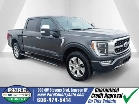 Gray 2021 Ford F-150 Platinum for sale in Grayson, KY